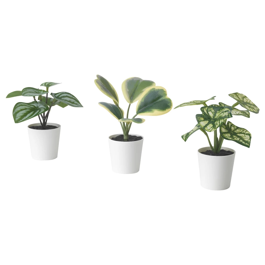 Искусственное растение, 3 шт. - IKEA FEJKA, 14 см, ФЕЙКА ИКЕА (изображение №1)