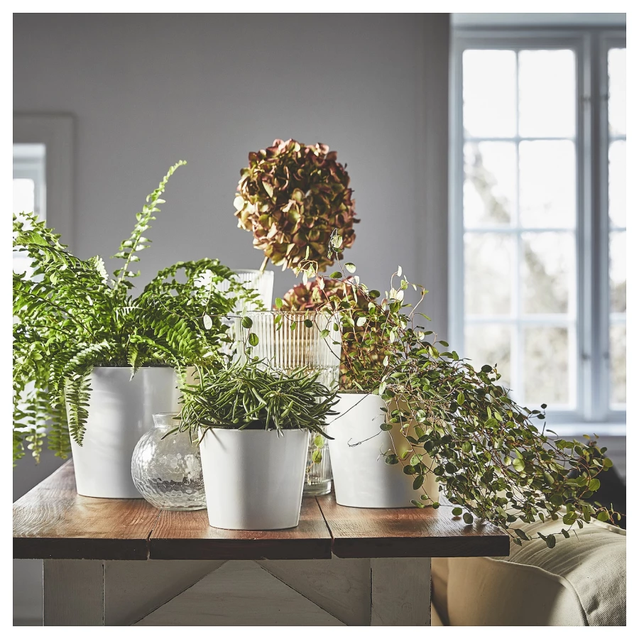 Горшок для растений - IKEA SOJABÖNA/SOJABONA, 15 см, белый, СОЯБОНА ИКЕА (изображение №6)