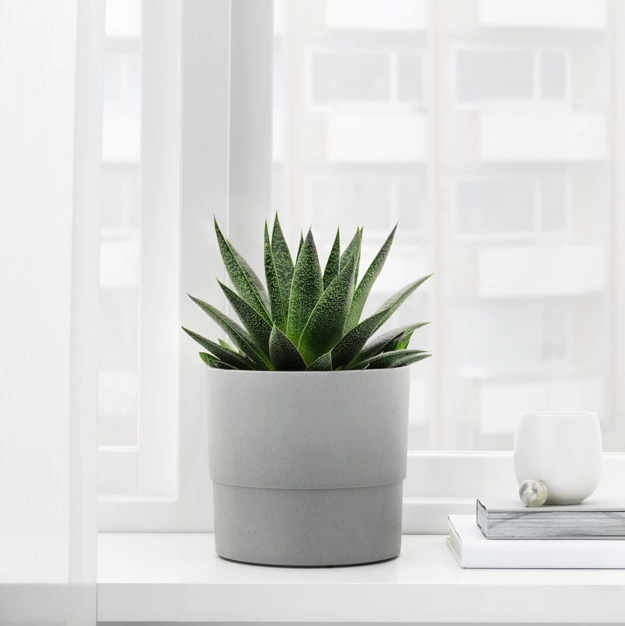 Горшок для растений - IKEA NYPON, 15 см, серый, НИПОН ИКЕА (изображение №2)
