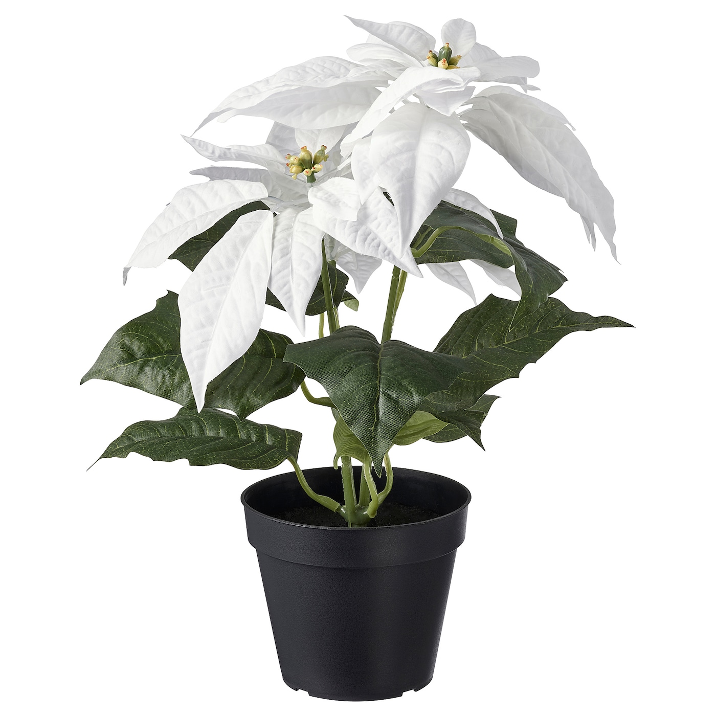 Искусственное растение в горшке - IKEA VINTERFINT, 12 см, ВИНТЕРФИНТ ИКЕА