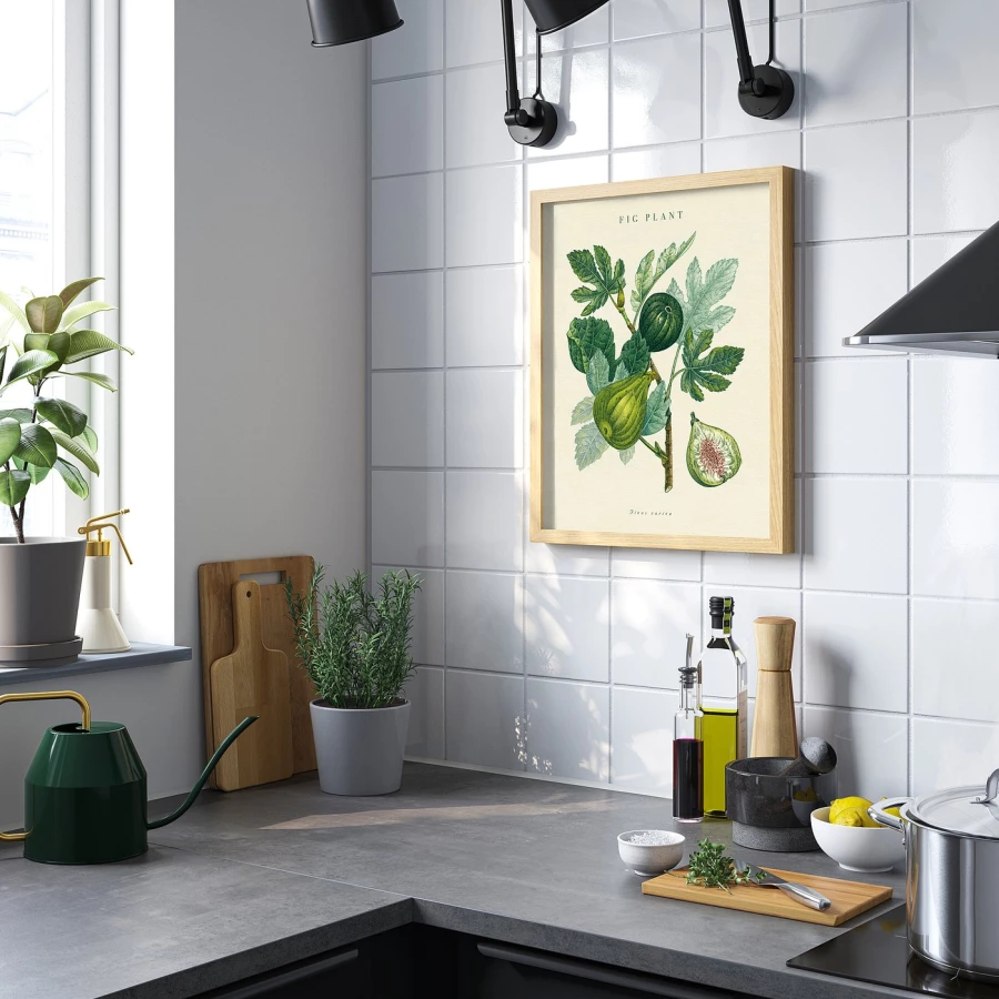 Постер - IKEA BILD/БИЛЬД ИКЕА, 40х50 см,  «Инжир обыкновенный» (изображение №2)
