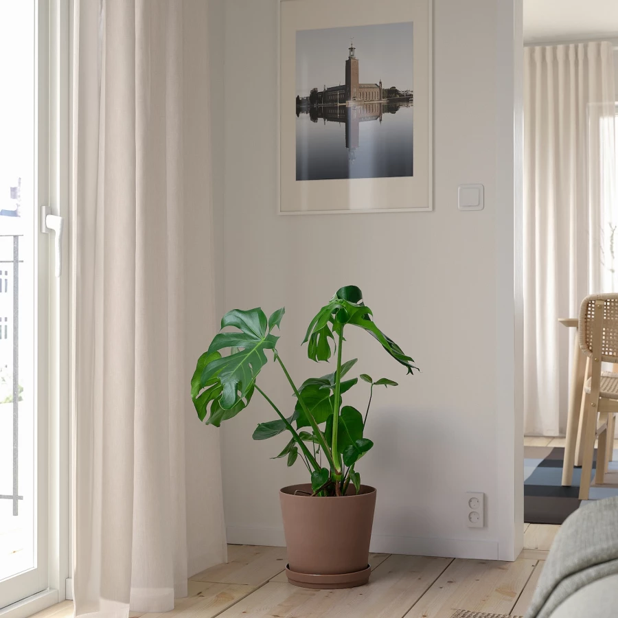 Горшок для растений - IKEA KLARBÄR/KLARBAR, 24 см, серо-коричневый, КЛАРБЭР ИКЕА (изображение №6)