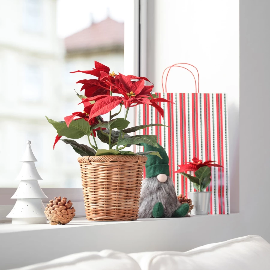 Искусственное растение в горшке - IKEA VINTERFINT, 12 см, ВИНТЕРФИНТ ИКЕА (изображение №2)