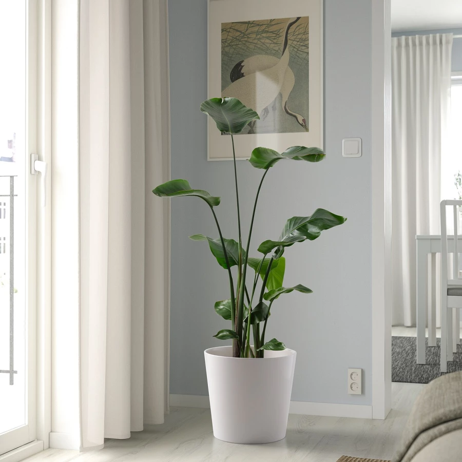 Горшок для растений - IKEA SOJABÖNA/SOJABONA, 32 см, белый, СОЯБОНА ИКЕА (изображение №5)