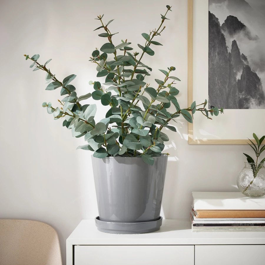 Горшок для растений - IKEA CITRUSFRUKT, 19 см, серый, КИТРУСФРУКТ ИКЕА (изображение №2)
