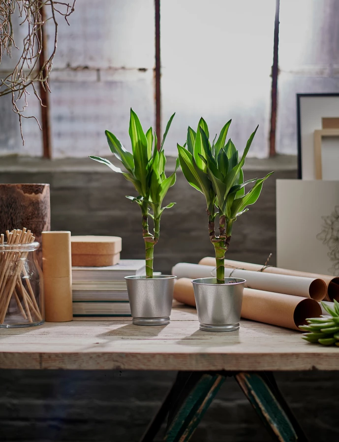 Горшок для растений - IKEA BINTJE, 9 см, оцинкованный, БИНТЬЕ ИКЕА (изображение №2)