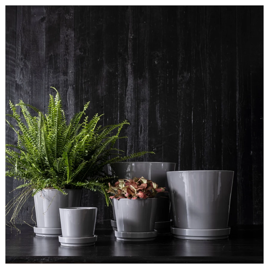 Горшок для растений - IKEA CITRUSFRUKT, 19 см, серый, КИТРУСФРУКТ ИКЕА (изображение №4)