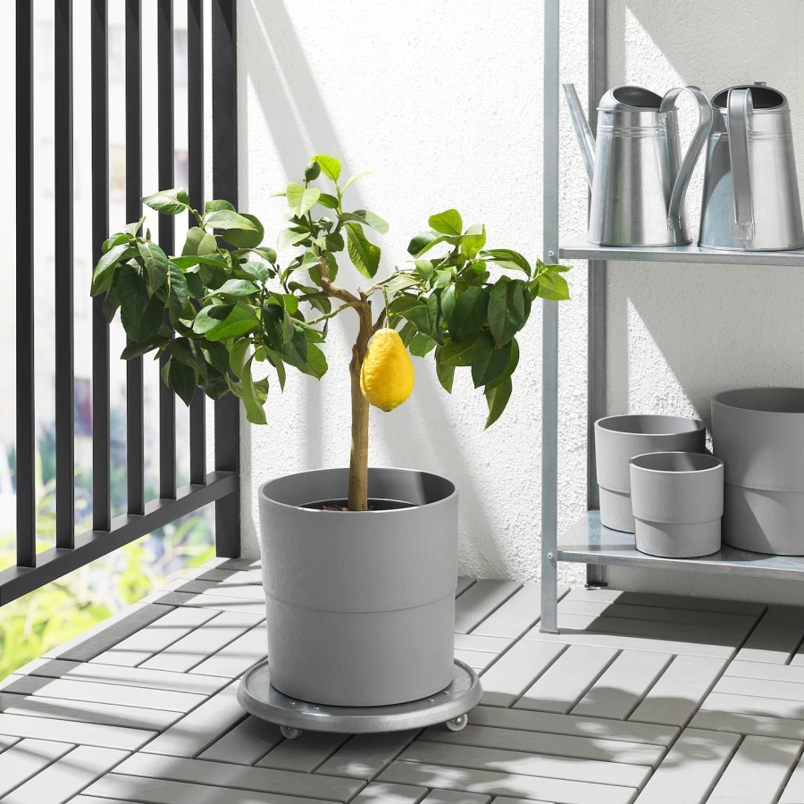 Горшок для растений - IKEA NYPON, 24 см, серый, НИПОН ИКЕА (изображение №4)