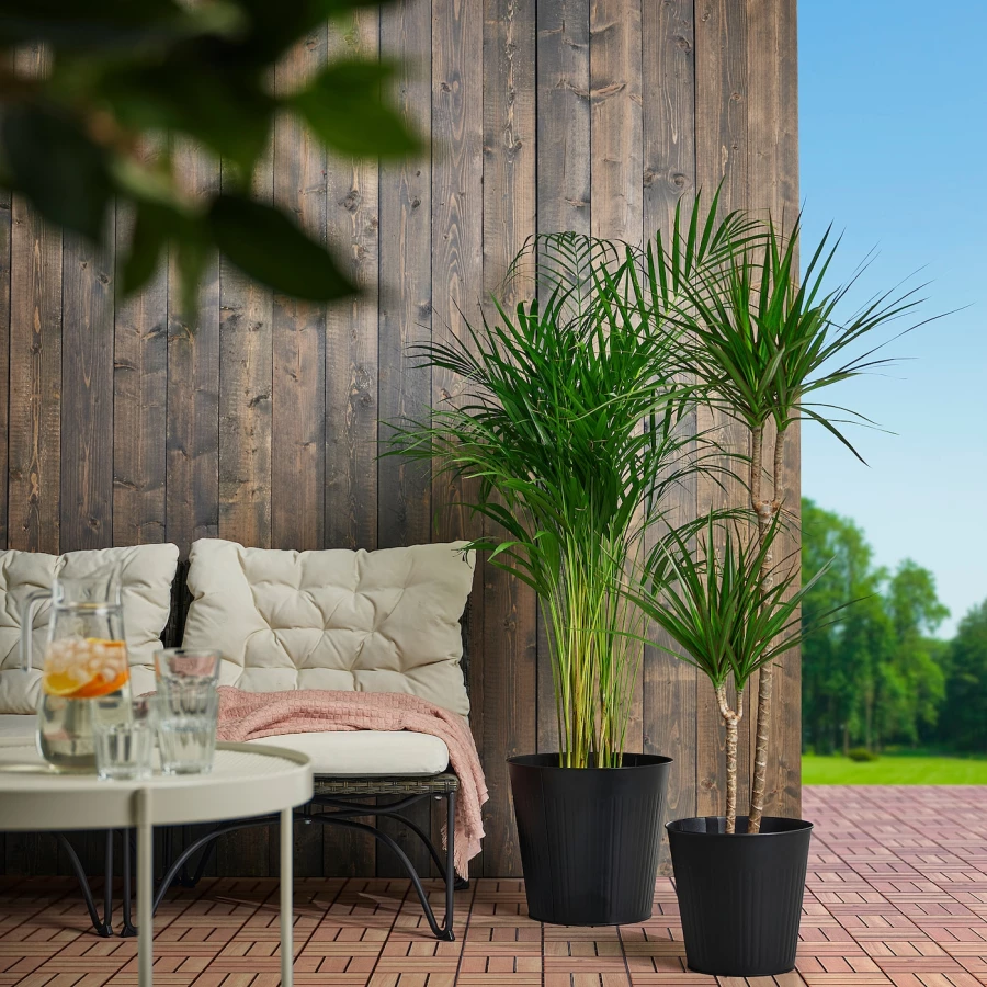 Горшок для растений - IKEA CITRONMELISS, 24 см, антрацит, ЦИТРОНМЕЛИСС ИКЕА (изображение №3)