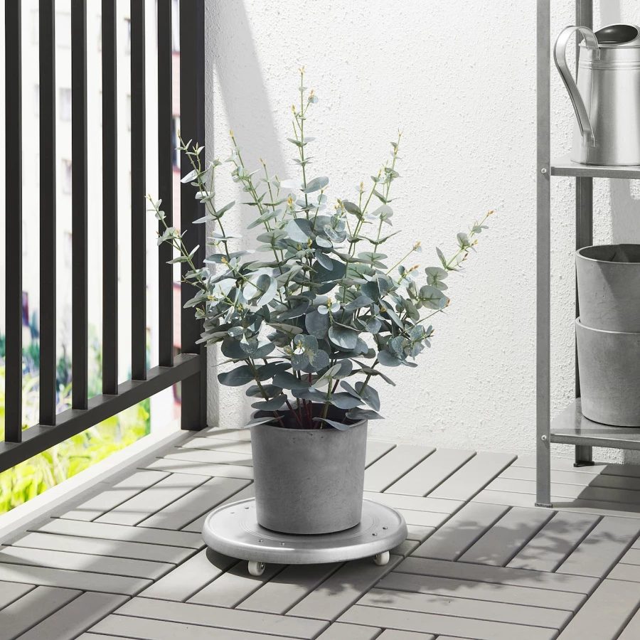 Горшок для растений - IKEA BOYSENBÄR/BOYSENBAR, 15 см, светло-серый, БОЙСЕНБЭР ИКЕА (изображение №4)
