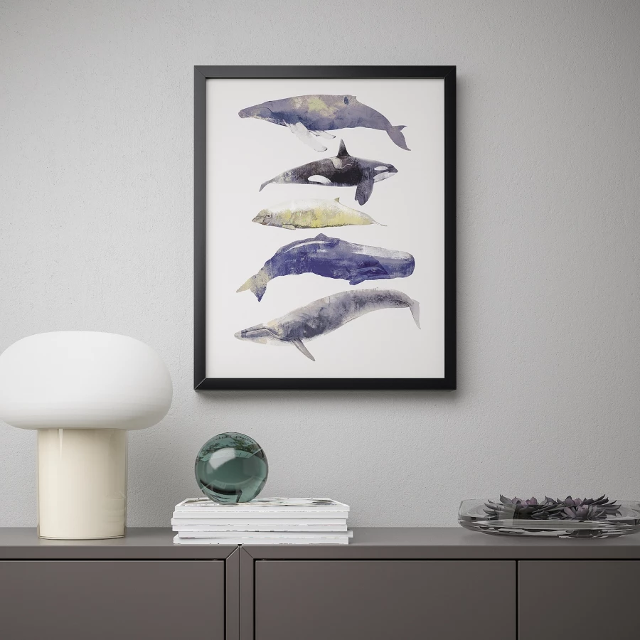 Постер - IKEA BILD, 40х50 см, «Музыка китов», БИЛЬД ИКЕА (изображение №3)