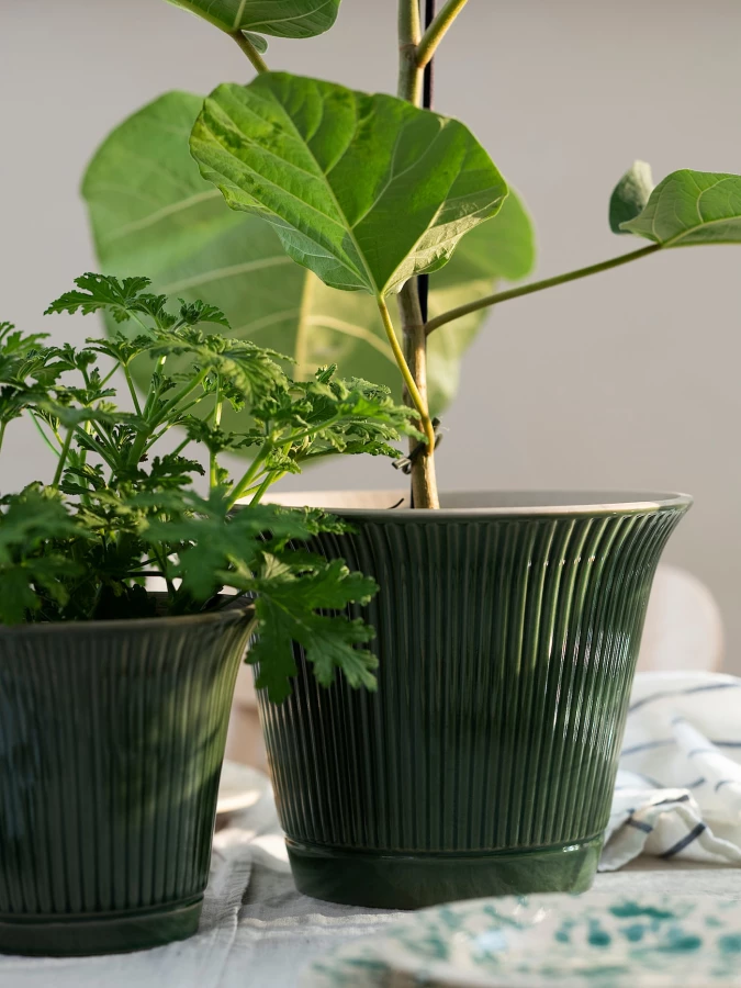 Горшок для растений - IKEA KAMOMILL, 15 см, зеленый, КАМОМИЛЛ ИКЕА (изображение №2)