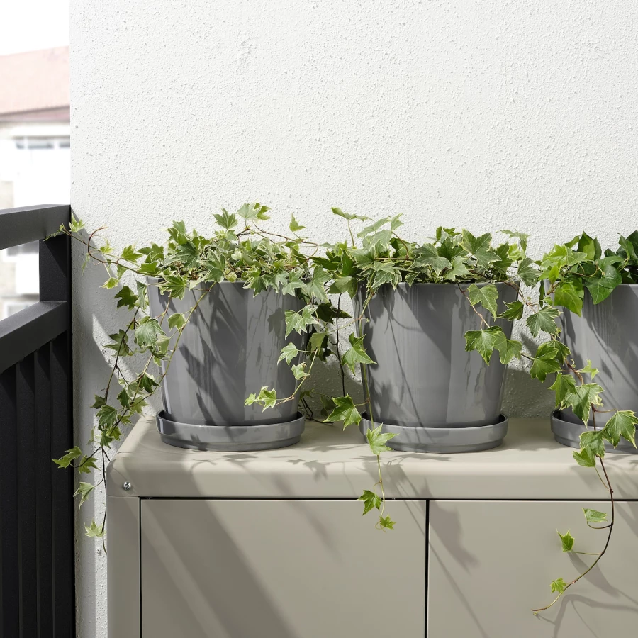 Горшок для растений - IKEA CITRUSFRUKT, 19 см, серый, КИТРУСФРУКТ ИКЕА (изображение №3)