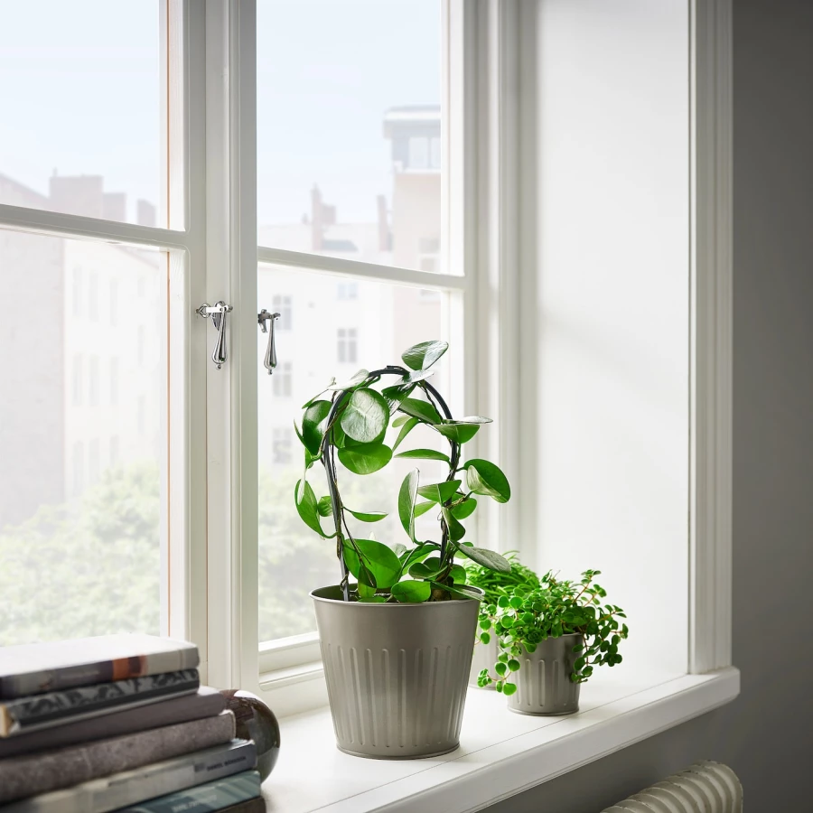 Горшок для растений - IKEA CITRONMELISS, 15 см, серый, ЦИТРОНМЕЛИСС ИКЕА (изображение №2)