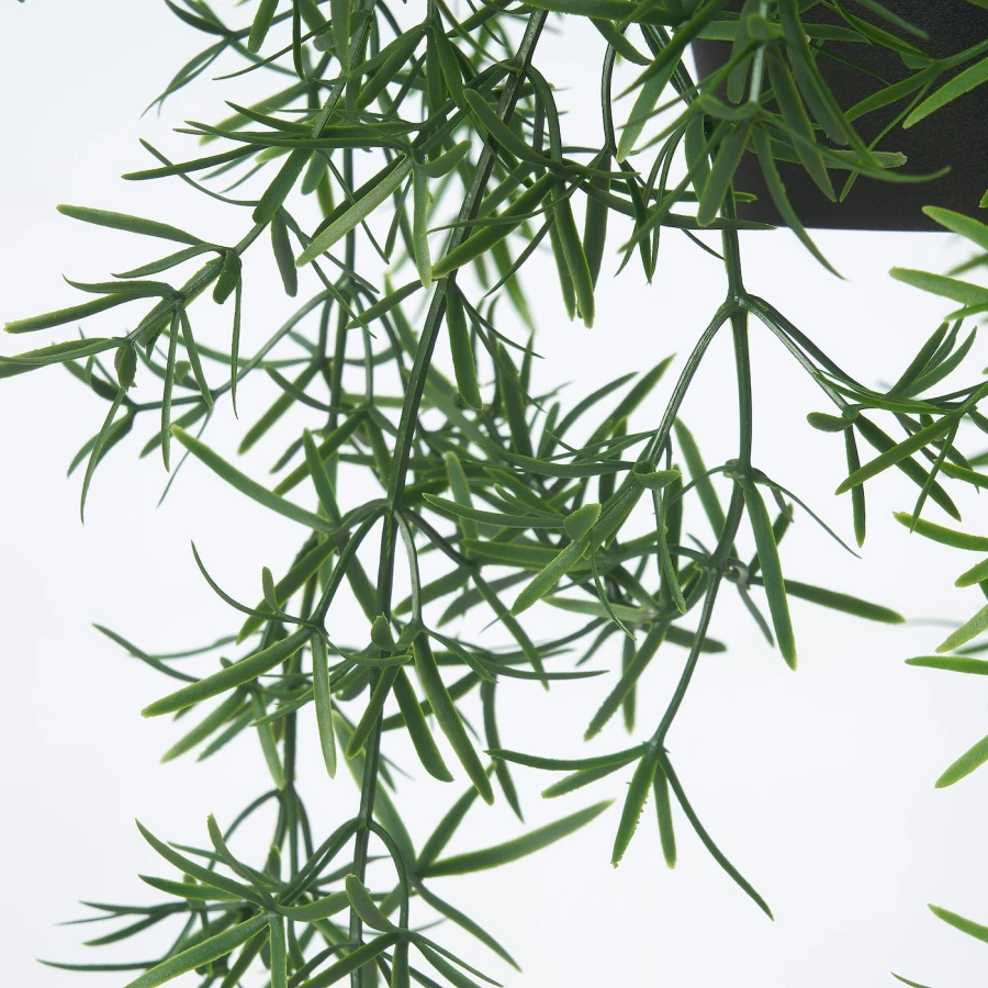 Искусственное растение в горшке - IKEA FEJKA, 12 см, ФЕЙКА ИКЕА (изображение №4)