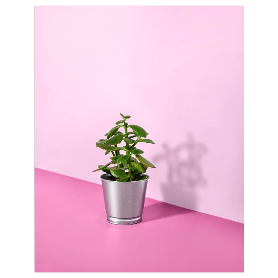 Горшок для растений - IKEA BINTJE, 9 см, оцинкованный, БИНТЬЕ ИКЕА (изображение №6)