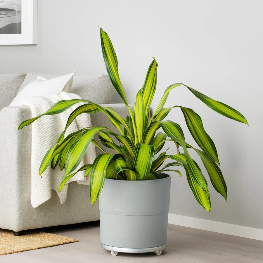 Горшок для растений - IKEA NYPON, 32 см, серый, НИПОН ИКЕА (изображение №4)