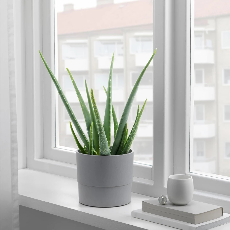 Горшок для растений - IKEA NYPON, 15 см, серый, НИПОН ИКЕА (изображение №3)
