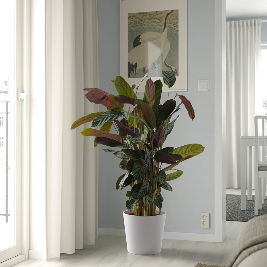 Горшок для растений - IKEA SOJABÖNA/SOJABONA, 24 см, белый, СОЯБОНА ИКЕА (изображение №6)