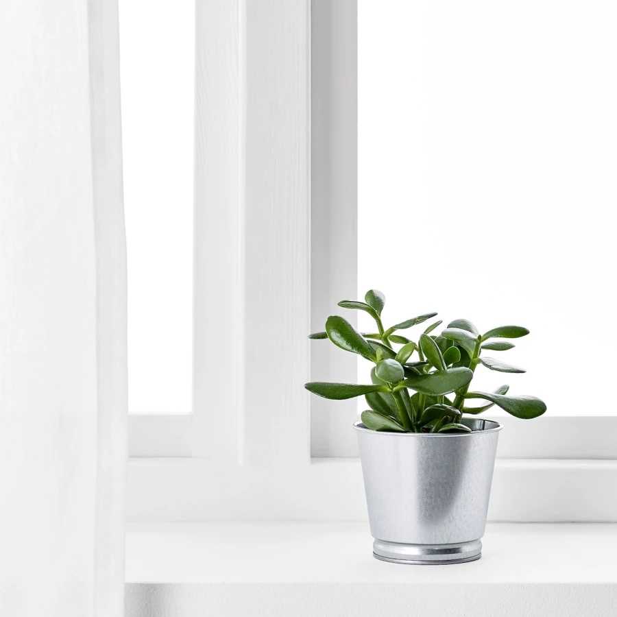 Горшок для растений - IKEA BINTJE, 9 см, оцинкованный, БИНТЬЕ ИКЕА (изображение №8)