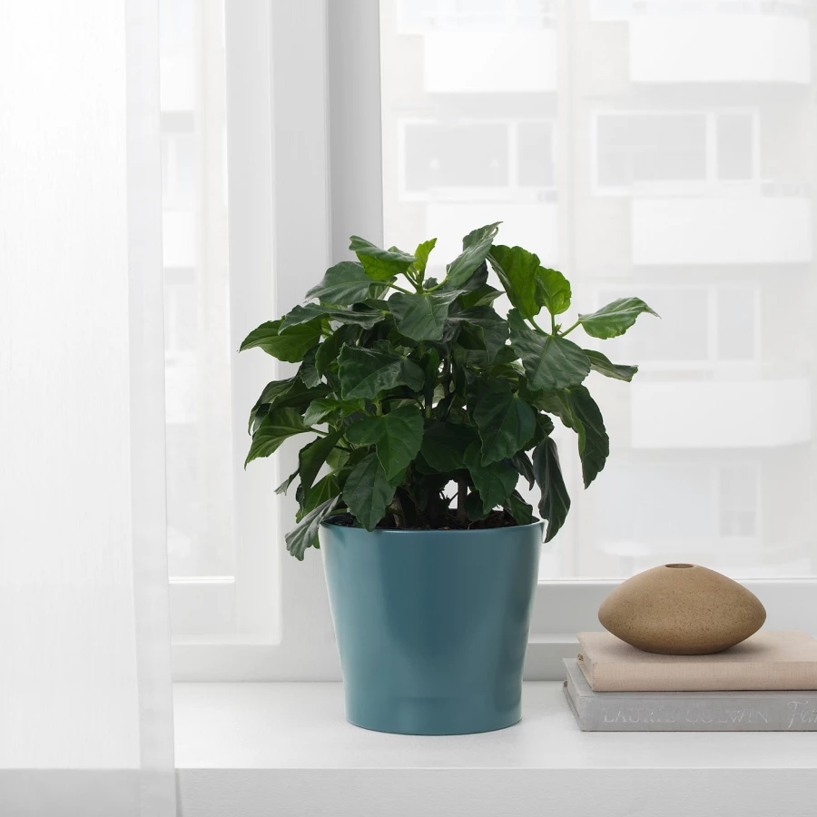 Горшок для растений - IKEA PAPAJA, 9 см, темно-синий, ПАПАЙЯ ИКЕА (изображение №2)