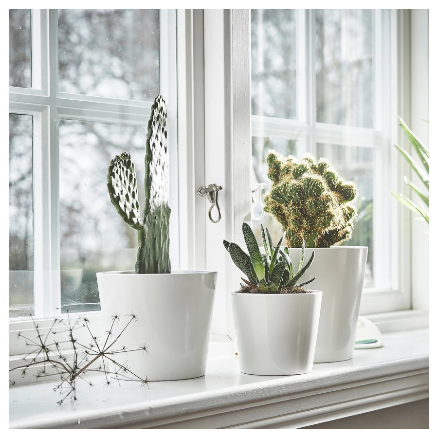 Горшок для растений - IKEA SOJABÖNA/SOJABONA, 15 см, белый, СОЯБОНА ИКЕА (изображение №3)