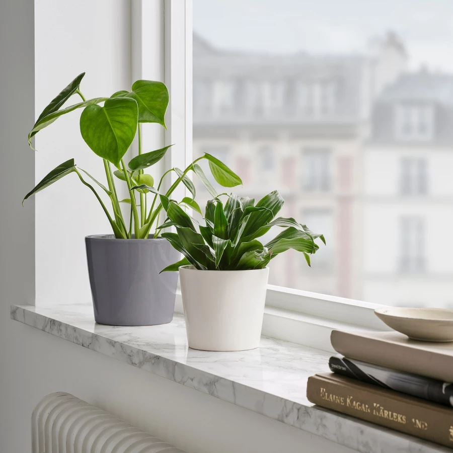 Горшок для растений - IKEA SOJABÖNA/SOJABONA, 9 см, белый, СОЯБОНА ИКЕА (изображение №5)
