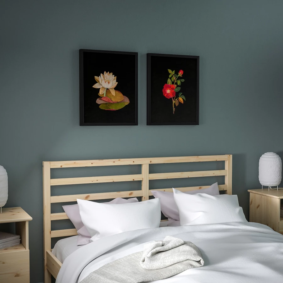 Постер, 2 шт. - IKEA BILD, 40х50 см, «Flora Delanica I», БИЛЬД ИКЕА (изображение №2)