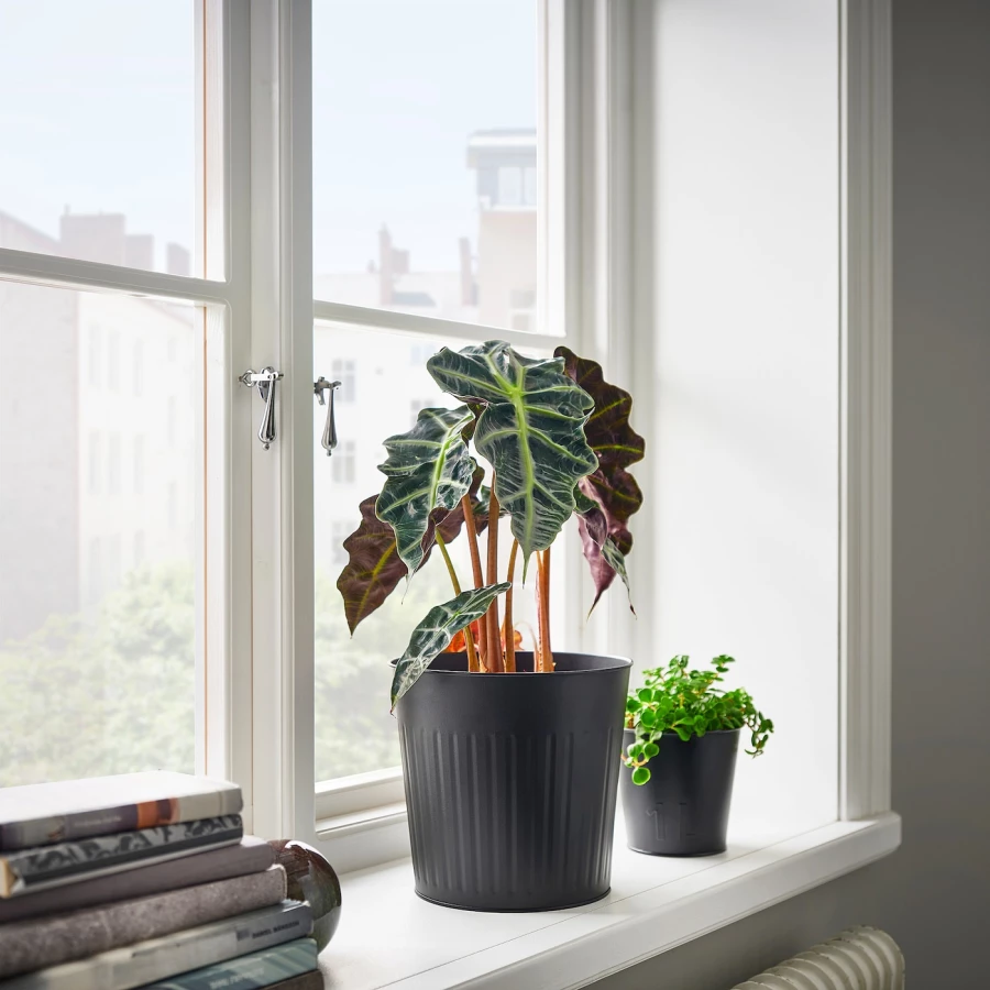 Горшок для растений - IKEA CITRONMELISS, 19 см, антрацит, ЦИТРОНМЕЛИСС ИКЕА (изображение №3)