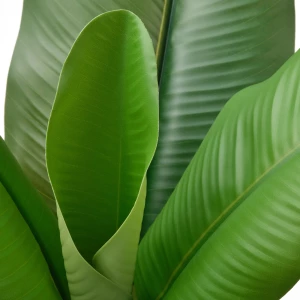 Второе фото. FEJKA Искусственное растение в горшке ИКЕА