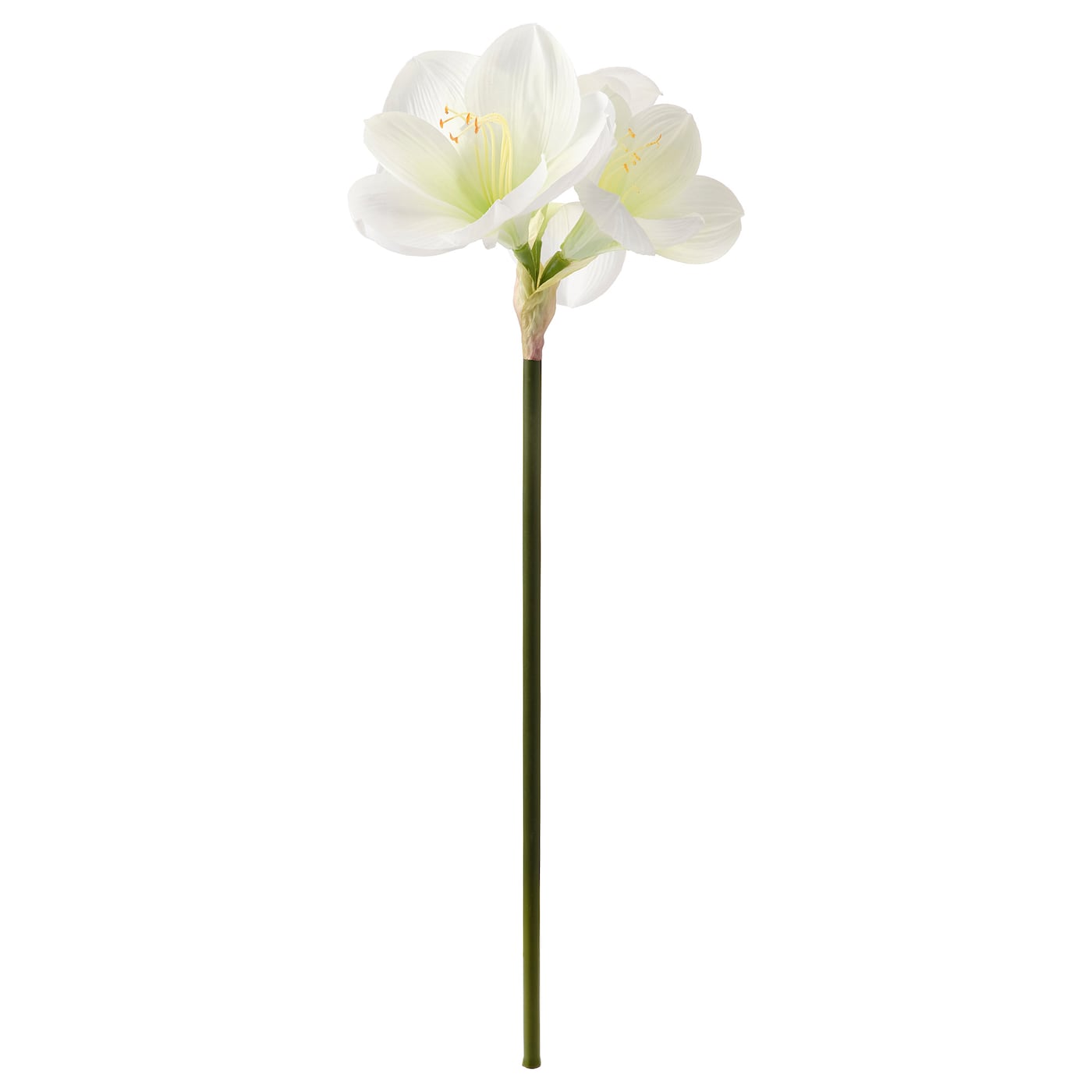 Искусственный цветок - IKEA VINTERFINT, зеленый/белый, ВИНТЕРФИНТ ИКЕА