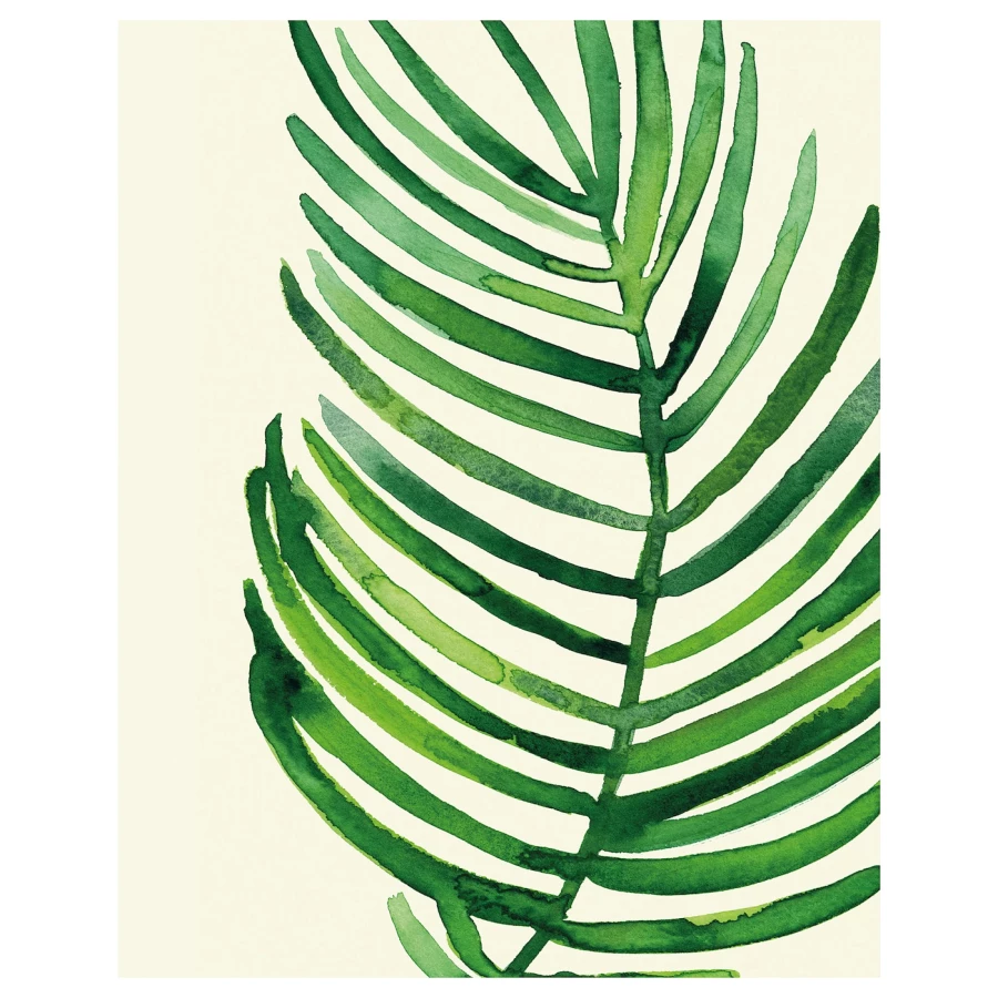 Постер - IKEA BILD, 40х50 см, «Тропический пальмовый лист II», БИЛЬД ИКЕА (изображение №1)