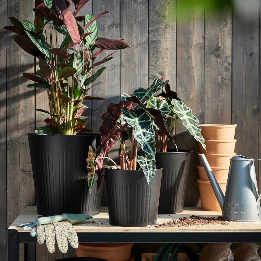 Горшок для растений - IKEA CITRONMELISS, 19 см, антрацит, ЦИТРОНМЕЛИСС ИКЕА (изображение №2)