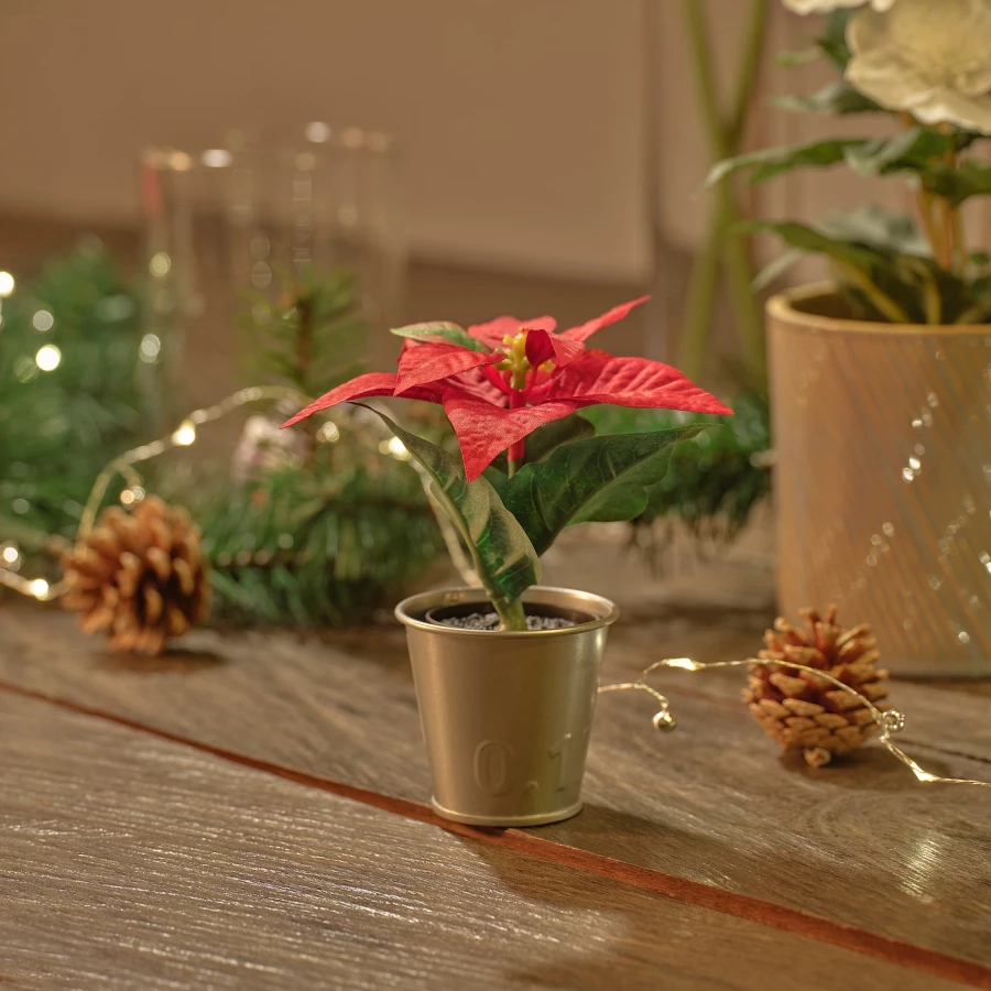 Искусственное растение в горшке - IKEA VINTERFINT, 6 см, ВИНТЕРФИНТ ИКЕА (изображение №4)