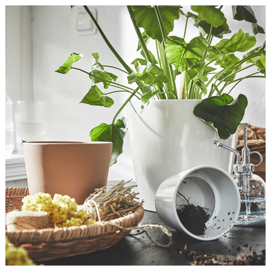 Горшок для растений - IKEA KLARBÄR/KLARBAR, 12 см, серо-коричневый, КЛАРБЭР ИКЕА (изображение №9)