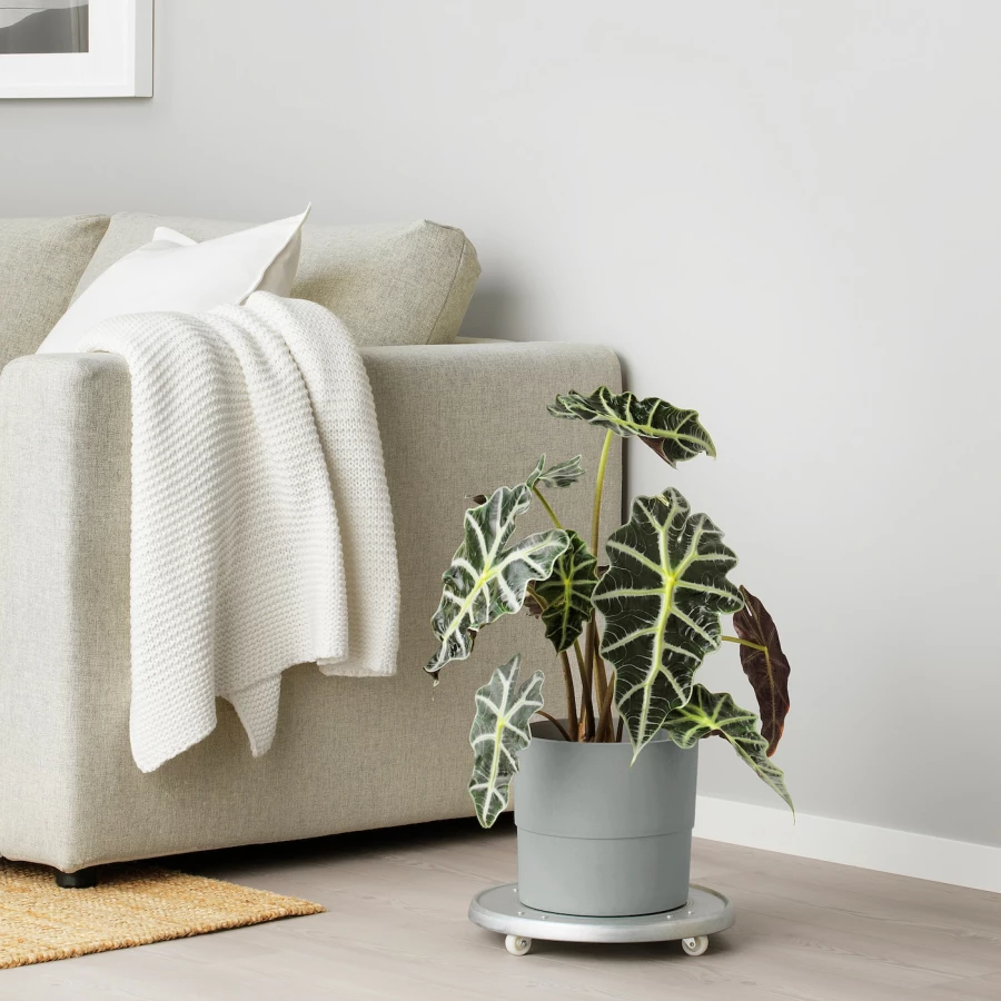 Горшок для растений - IKEA NYPON, 19 см, серый, НИПОН ИКЕА (изображение №3)
