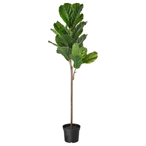 FEJKA искусственное растение ИКЕА (изображение №1)