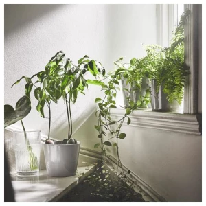 SMÄLLSPIREA ваза ИКЕА