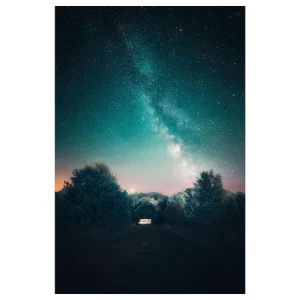 BJÖRKSTA картина ИКЕА