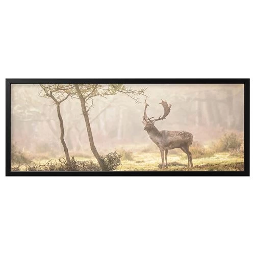 Картина в раме - IKEA BJÖRKSTA/BJORKSTA, 140х56 см, БЬЁРКСТА ИКЕА (изображение №1)