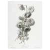 product-color-423143