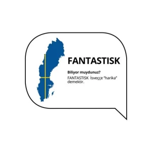 FANTASTISK бумажные салфетки ИКЕА