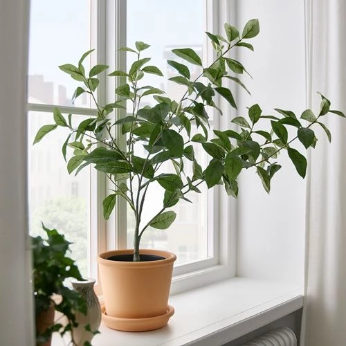 Искусственное растение в горшке - IKEA FEJKA, 15 см, ФЕЙКА ИКЕА (изображение №4)