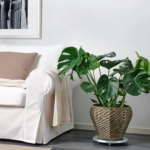 Горшок для растений - IKEA DRUVFLÄDER/DRUVFLADER, 24 см, коричневый, ДРУВФЛЭДЕР ИКЕА (изображение №2)