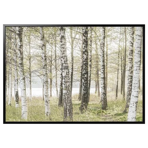 Картина с рамой - IKEA BJÖRKSTA/BJORKSTA, 200х140 см, БЬЁРКСТА ИКЕА (изображение №1)