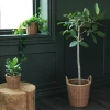 KAKTUSFIKON пластиковый горшок из ротанга ИКЕА (изображение №2)