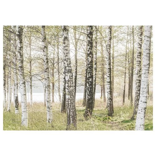 Картина - IKEA BJÖRKSTA/BJORKSTA, 200х140 см, БЬЁРКСТА ИКЕА (изображение №1)