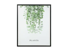 Картина Plants 40х50см