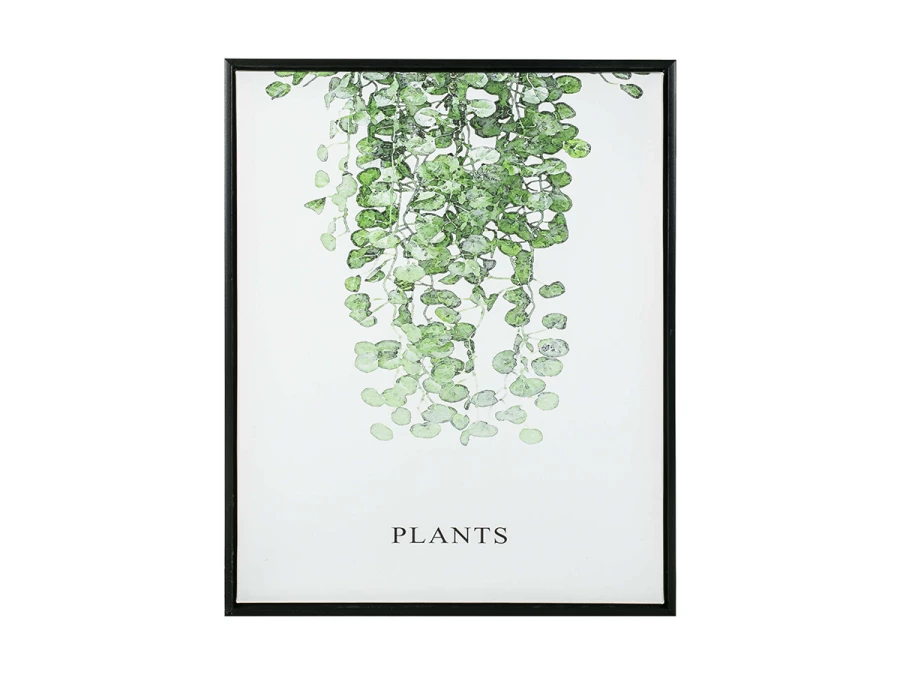 Картина Plants 40х50см (изображение №1)