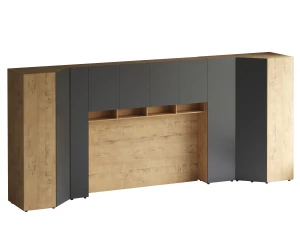 Композиция Modus 68